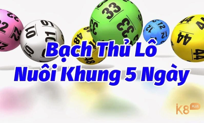 Lô khung 5 ngày chuẩn và chính xác nhất 