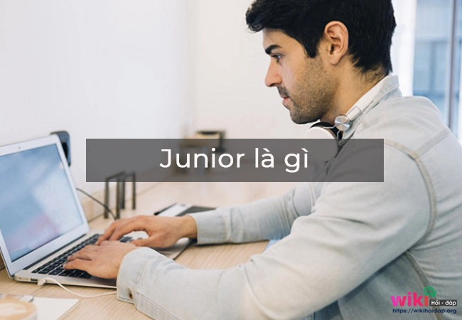 junior là gì mới nhất 2022