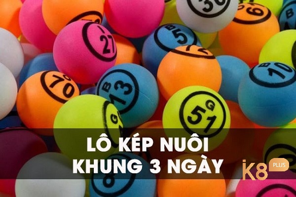 Cách nuôi lô kép nuôi khung 3 ngày đẹp nhất từ nhà cái k8