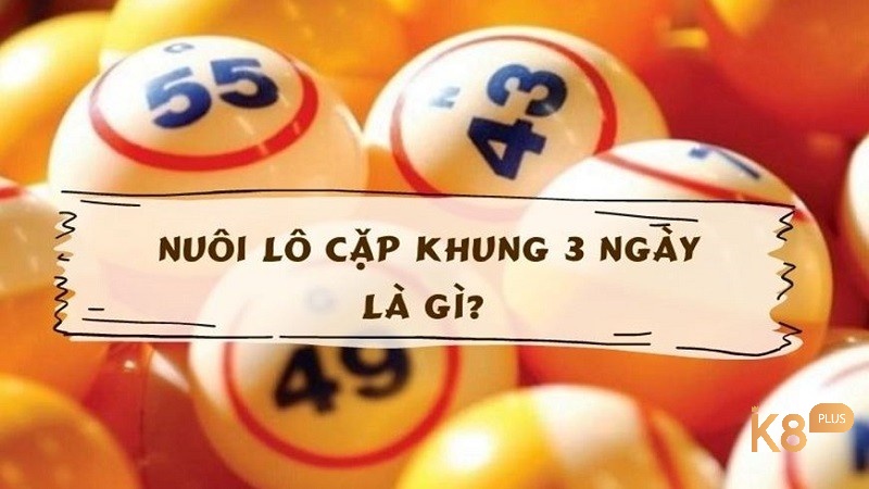 Cặp lô nuôi khung 3 ngày là gì?