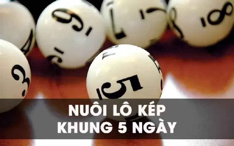 Nuoi lo kep khung 5 ngay chuẩn và chính xác nhất 2022