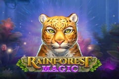 Rainforest Magic: Một cuộc phiêu lưu đang chờ đón bạn