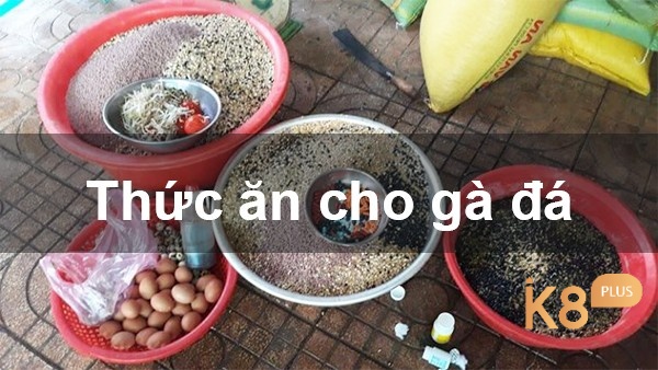 Thức ăn gà đá phải đáp ứng nhu cầu dinh dưỡng và cung cấp đủ năng lượng