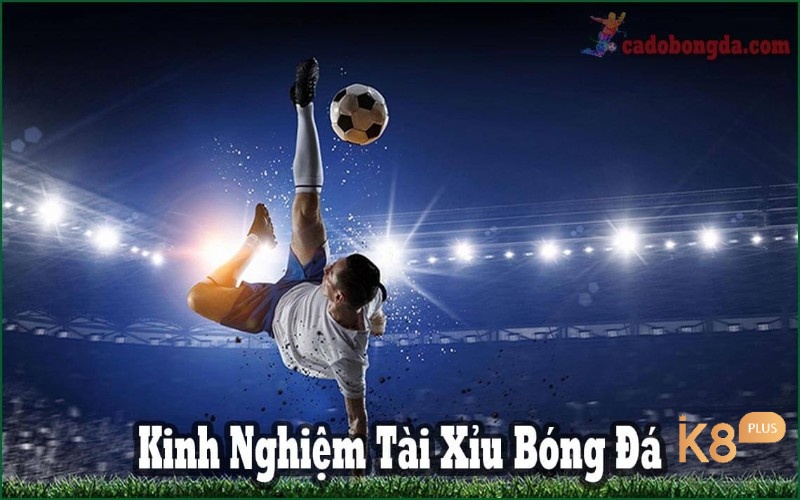 Kinh nghiệm bắt kèo chuẩn giúp bạn tự tin giành chiến thắng lớn