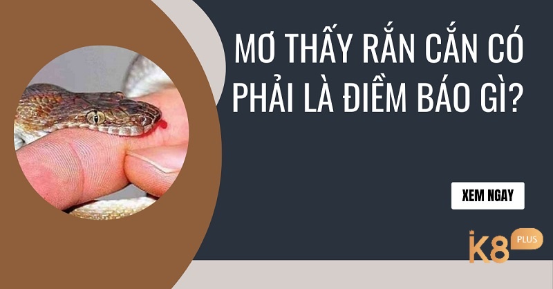 Mộng mình bị rắn độc cắn mang theo điềm báo tốt hay xấu