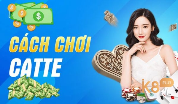 trình tự bài Catte là gì?