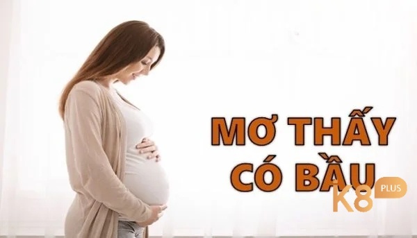 Mộng thấy có thai: Điềm báo xấu hay tốt? Luận số đề đẹp