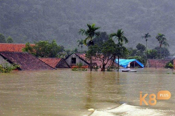 Mộng thấy nước lụt không phải là hiện tượng hiếm gặp