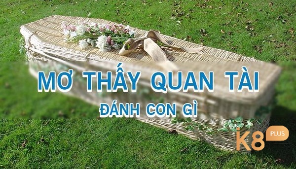 Mộng thấy quan tài cùng con số lộc lá 