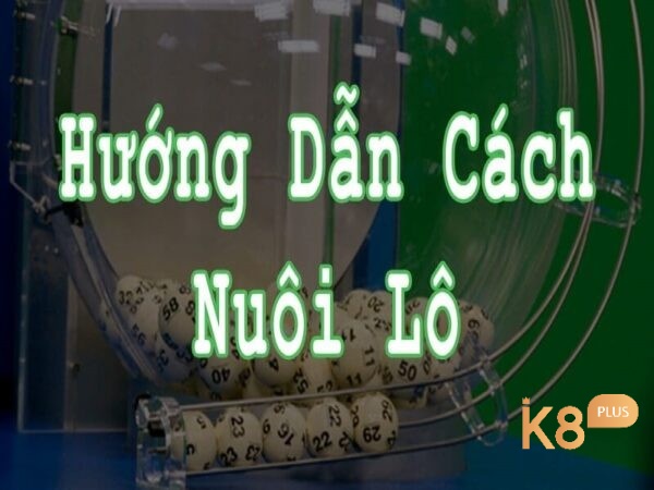 Học cách nuôi lô hiệu quả nhất từ các lô thủ lâu năm