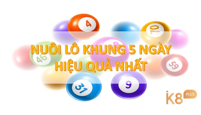 Với khung 5 ngày anh em nên sử dụng nuôi dàn lô sẽ đem lại hiệu quả tốt nhất