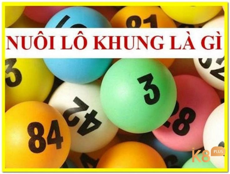 Cùng K8 chúng tôi tìm hiểu về nuôi lô khung là gì nhé